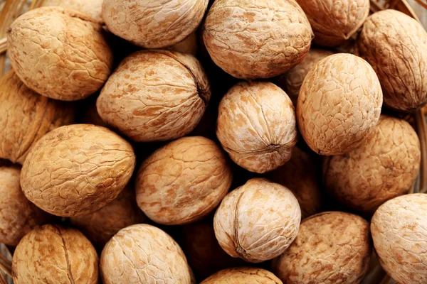 Ripe walnut background — Stock Photo, Image