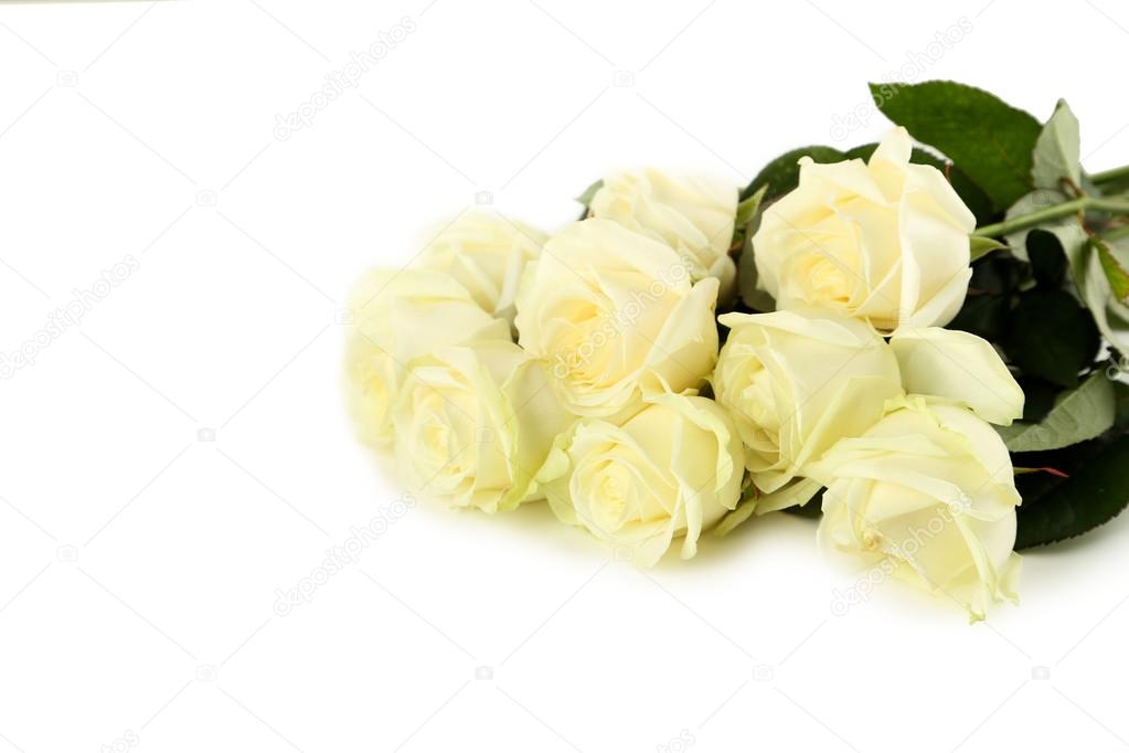 Bouquet of white roses