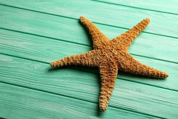 Bruin starfish close-up — Stockfoto