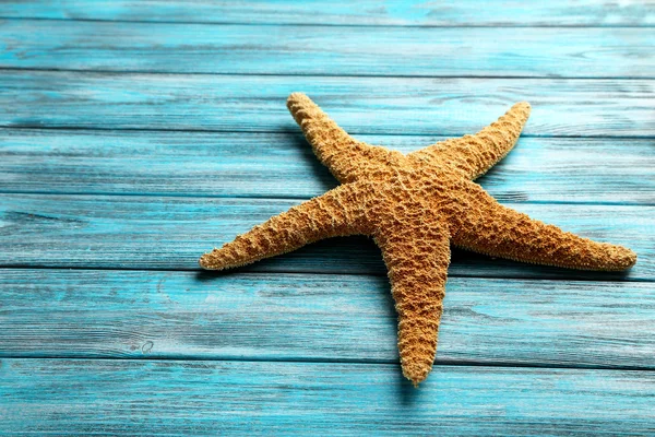 Bruin starfish close-up — Stockfoto