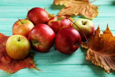 Olgun elma bir nane ahşap tablo