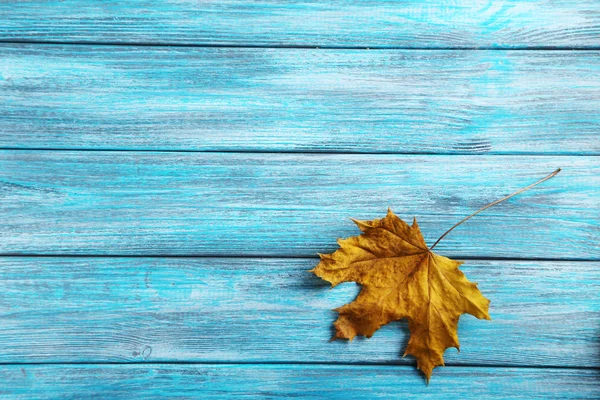 Droge herfstblad — Stockfoto