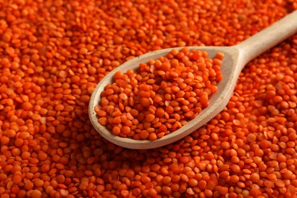 Red lentils in the spoon