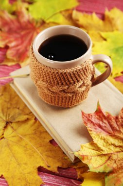 Fincan kahve ve kitap ile sonbahar yaprakları