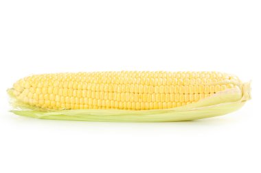 Olgun altın Mısır