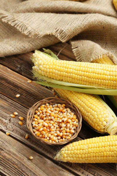 Ripe healthy corns — Stock Photo, Image