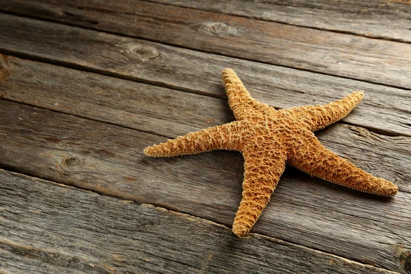 Браун starfish крупним планом — стокове фото