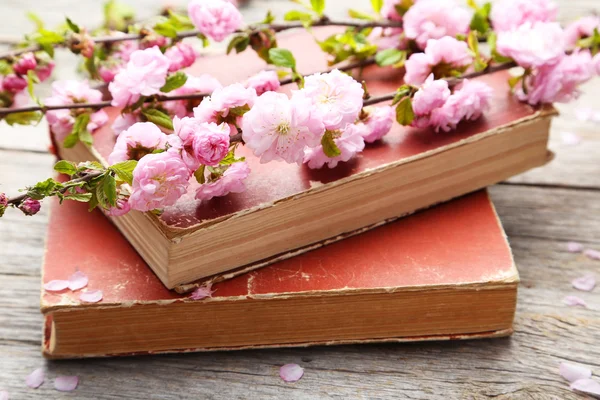 Lente bloeiende tak met oude boeken — Stockfoto