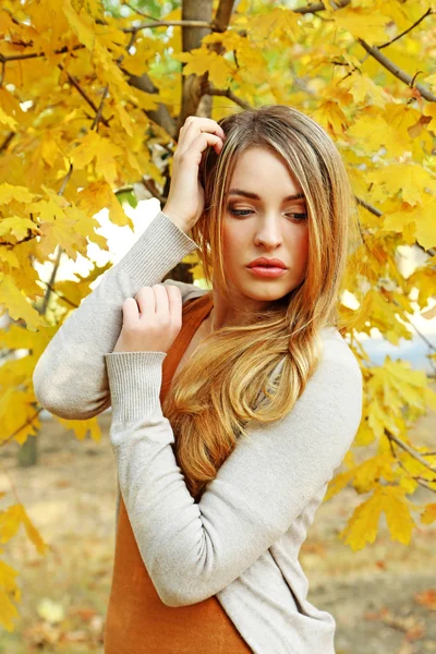 Mooi jong meisje in de herfst park — Stockfoto