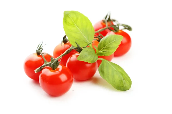 Tomatoes and basil leaves Royalty Free Stock Images