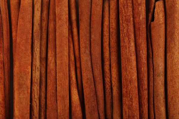 Aromatic cinnamon sticks — Stock Photo, Image