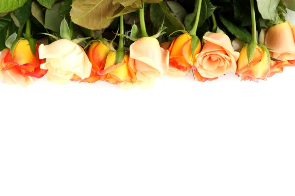 Bukiet róż pomarańczowych — Zdjęcie stockowe