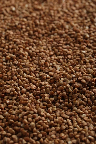 Mucchio di sfondo di semi di grano saraceno — Foto Stock