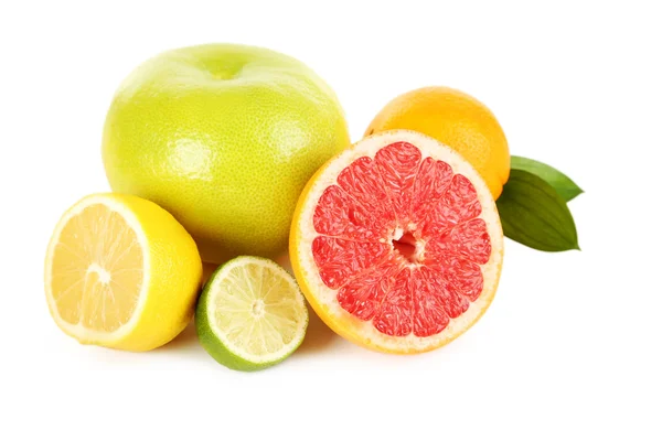 Fresh citrus fruits — Stock Photo, Image