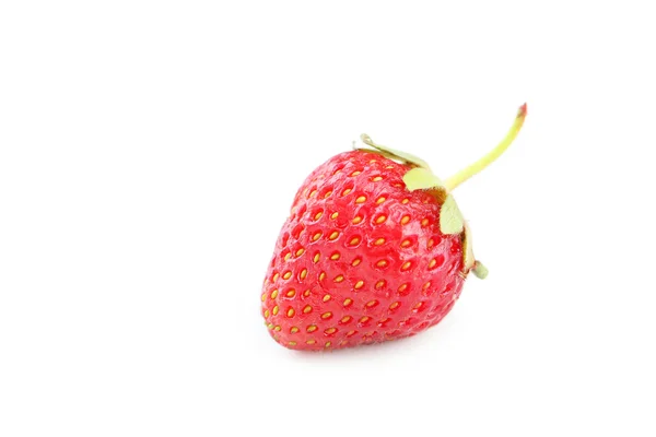 Fresh red strawberry — Stock Photo, Image