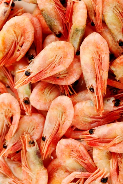 Boiled shrimps background — Stock Photo, Image