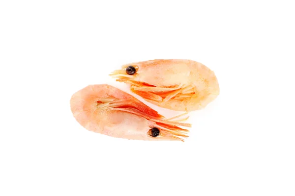 Čerstvé vařené krevety — Stock fotografie