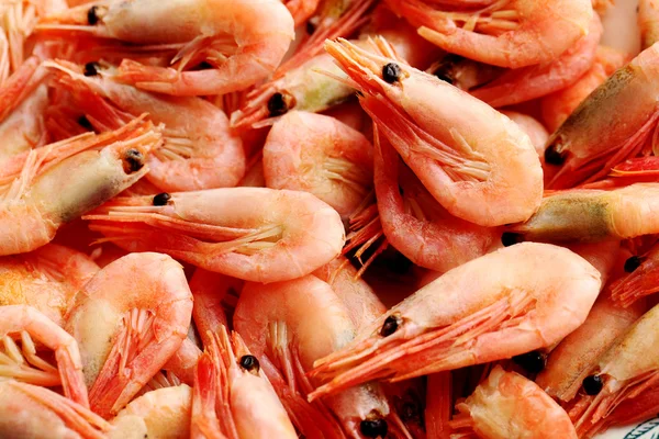 Fresh boiled shrimps background — Stock Photo, Image