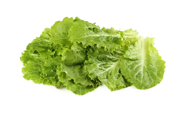 Lechuga de ensalada fresca — Foto de Stock