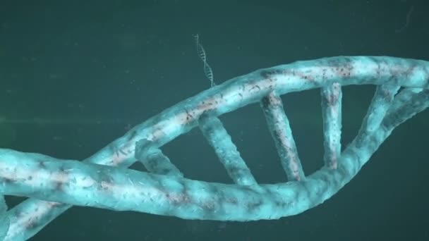 Clip animazione filamento DNA — Video Stock