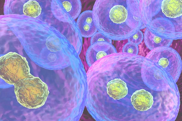 3D komórki pływające — Zdjęcie stockowe