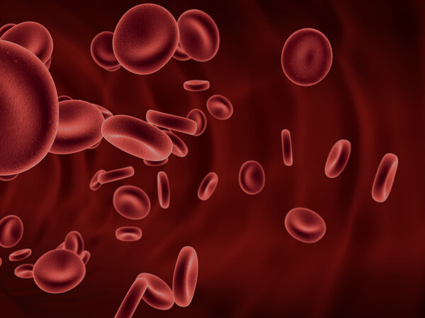 Blood Cells Flowing