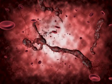 Ebola virüsü tıbbi çizimi