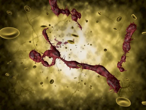 에볼라 바이러스의 의료 그림 — 스톡 사진