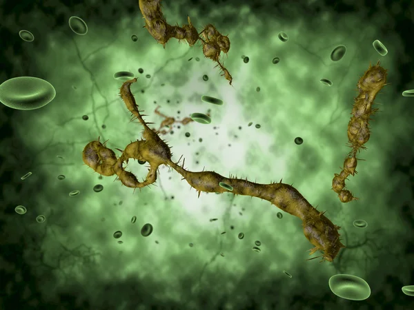 Ebola virüsü tıbbi çizimi