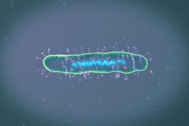 Bakteri tıbbi illüstrasyon