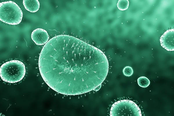 Medical illustration of the Bacteria — Stock Photo, Image