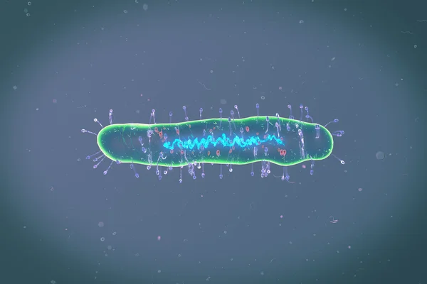 Ilustración médica de las bacterias — Foto de Stock