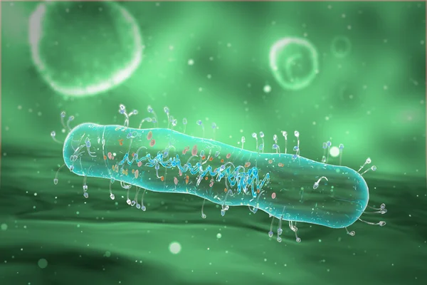 Medical illustration of the Bacteria — Stock Photo, Image