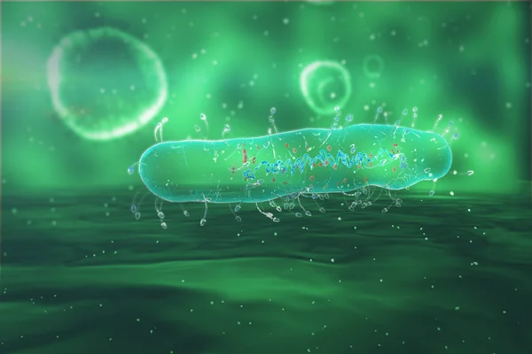 Bakteri tıbbi illüstrasyon