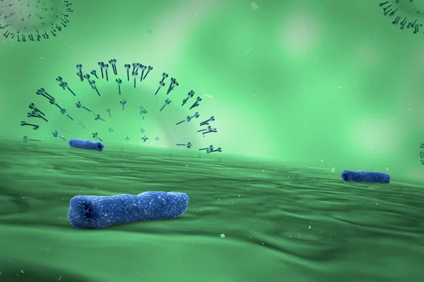 Ιατρική απεικόνιση των βακτηρίων — Φωτογραφία Αρχείου