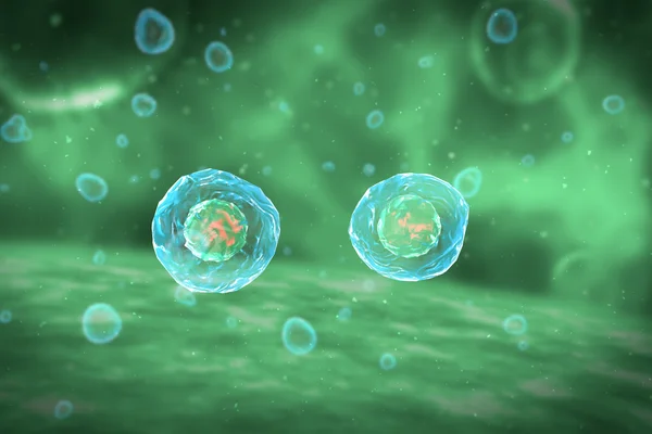 Hücre bölünmesi mitoz aşamaları — Stok fotoğraf