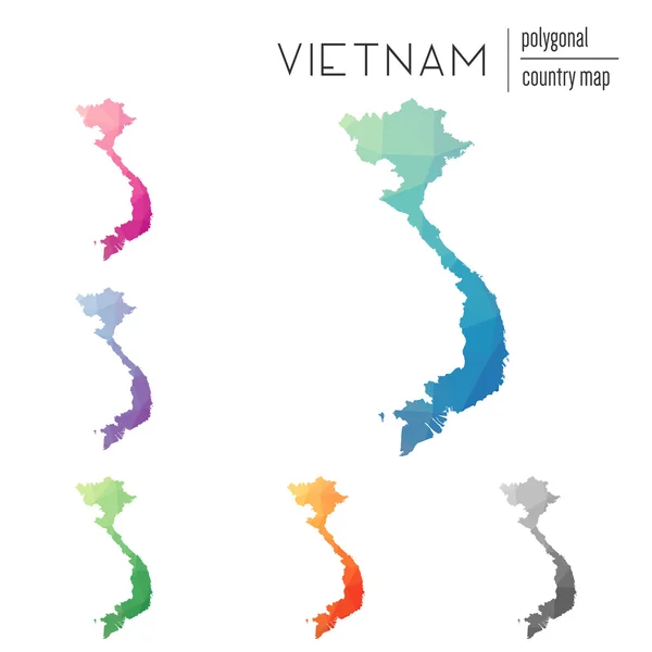 Ensemble de cartes vectorielles polygonales du Vietnam . — Image vectorielle