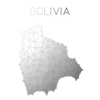 Bolivya poligonal vektör harita.