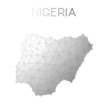 Nijerya çokgen vektör haritası.