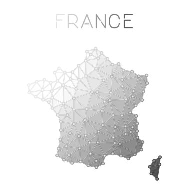 Fransa poligonal vektör:.