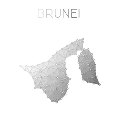 Brunei Darussalam poligonal vektör harita.
