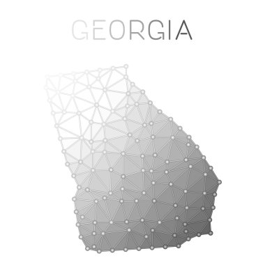 Georgia poligonal vektör harita.