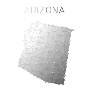 Arizona poligonal vektör harita.