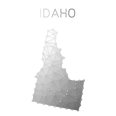 Idaho poligonal vektör harita.