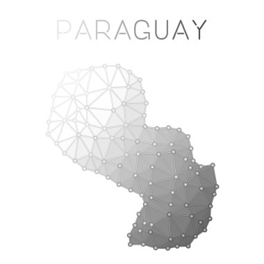 Paraguay poligonal vektör harita.