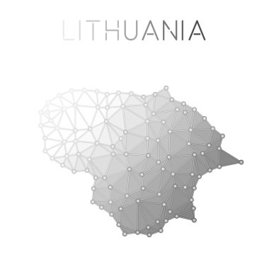 Litvanya çokgen vektör haritası.