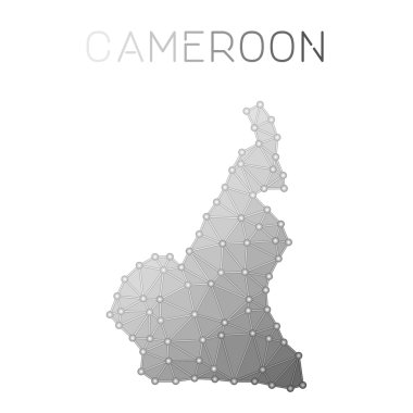 Kamerun çokgen vektör haritası.