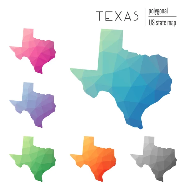 Conjunto de mapas poligonais vetoriais do Texas . — Vetor de Stock