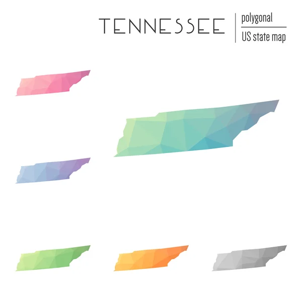 Ensemble de cartes vectorielles polygonales du Tennessee . — Image vectorielle