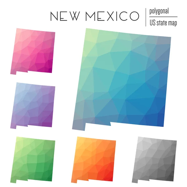 Σύνολο των διανυσματικών πολυγωνικό Νέο Μεξικό χάρτες. — Διανυσματικό Αρχείο